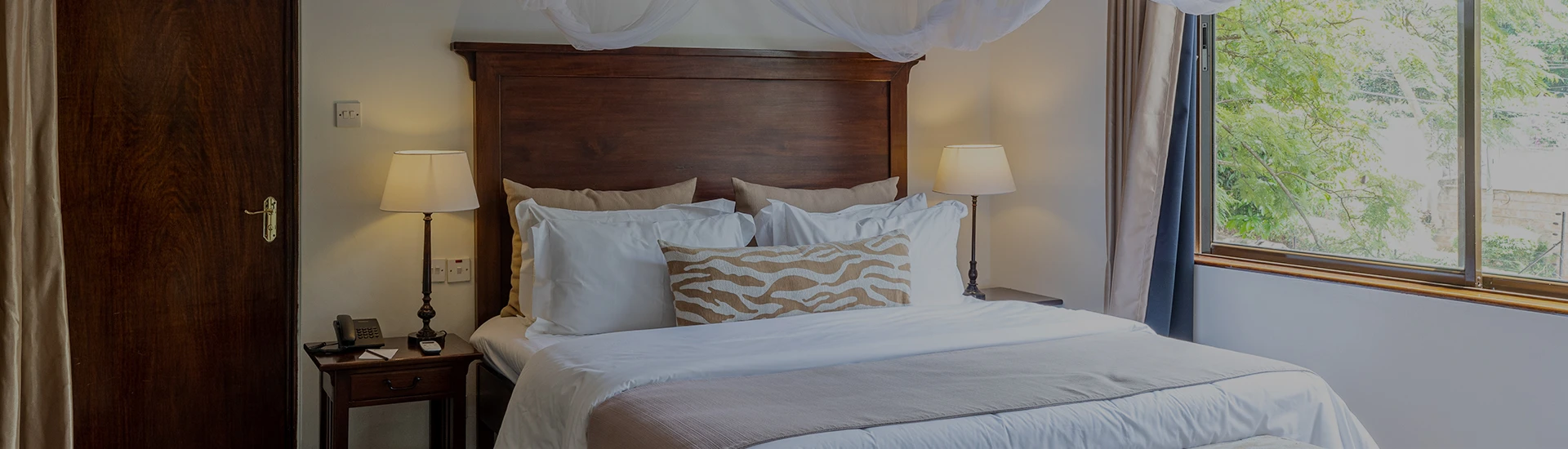 palacina Suite Banner