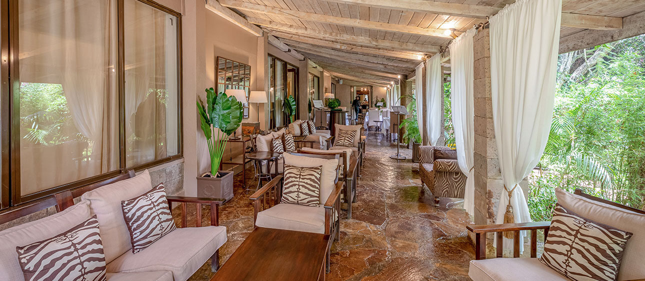 Palacina Bistro