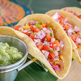 Freshly prepared chicken tacos with salsa Gallery